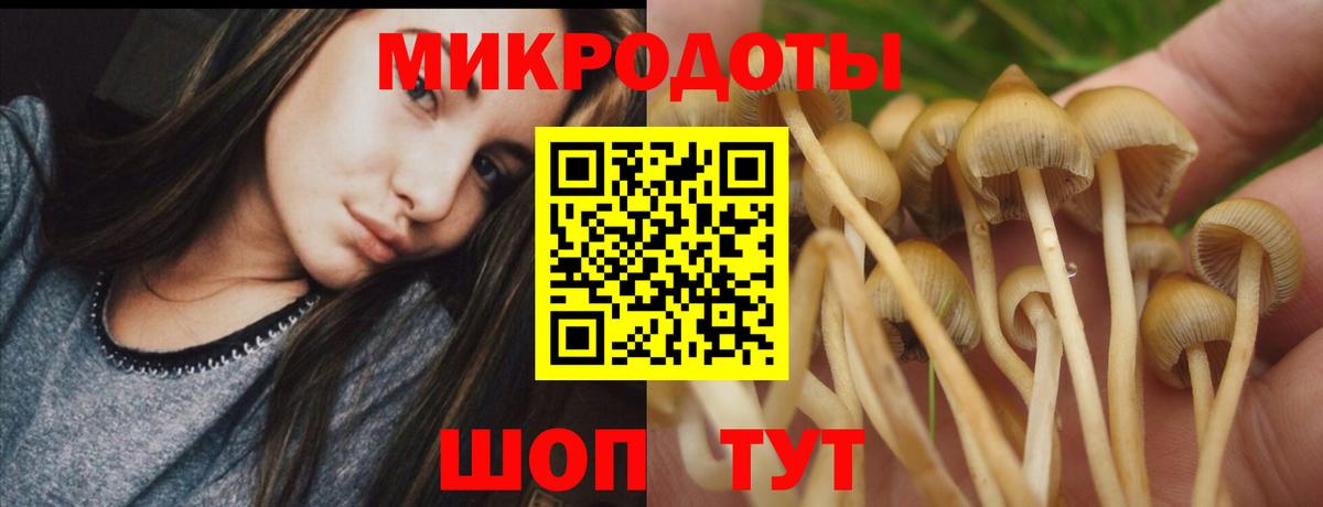 Новозыбков  Псилоцибиновые грибы MAGIC MUSHROOMS  Псилоцибиновые грибы прущие грибы  сколько стоит  Вход с VPN 